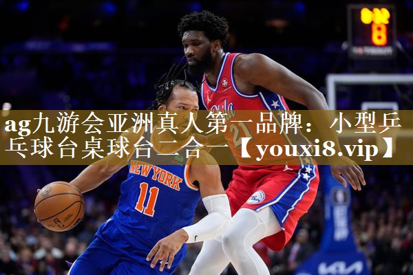 ag九游会亚洲真人第一品牌:小型乒乓球台桌球台二合一
