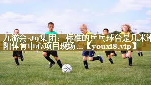九游会·J9集团:标准的乒乓球台是几米潮阳体育中心项目现场…