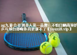 ag九游会亚洲真人第一品牌:不怕日晒雨淋的乒乓球台即嗨体育更新不了